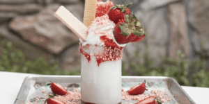 Show Stopper Shake