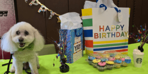A Tail-Wagging Birthday “Pawty” for Snoopy!