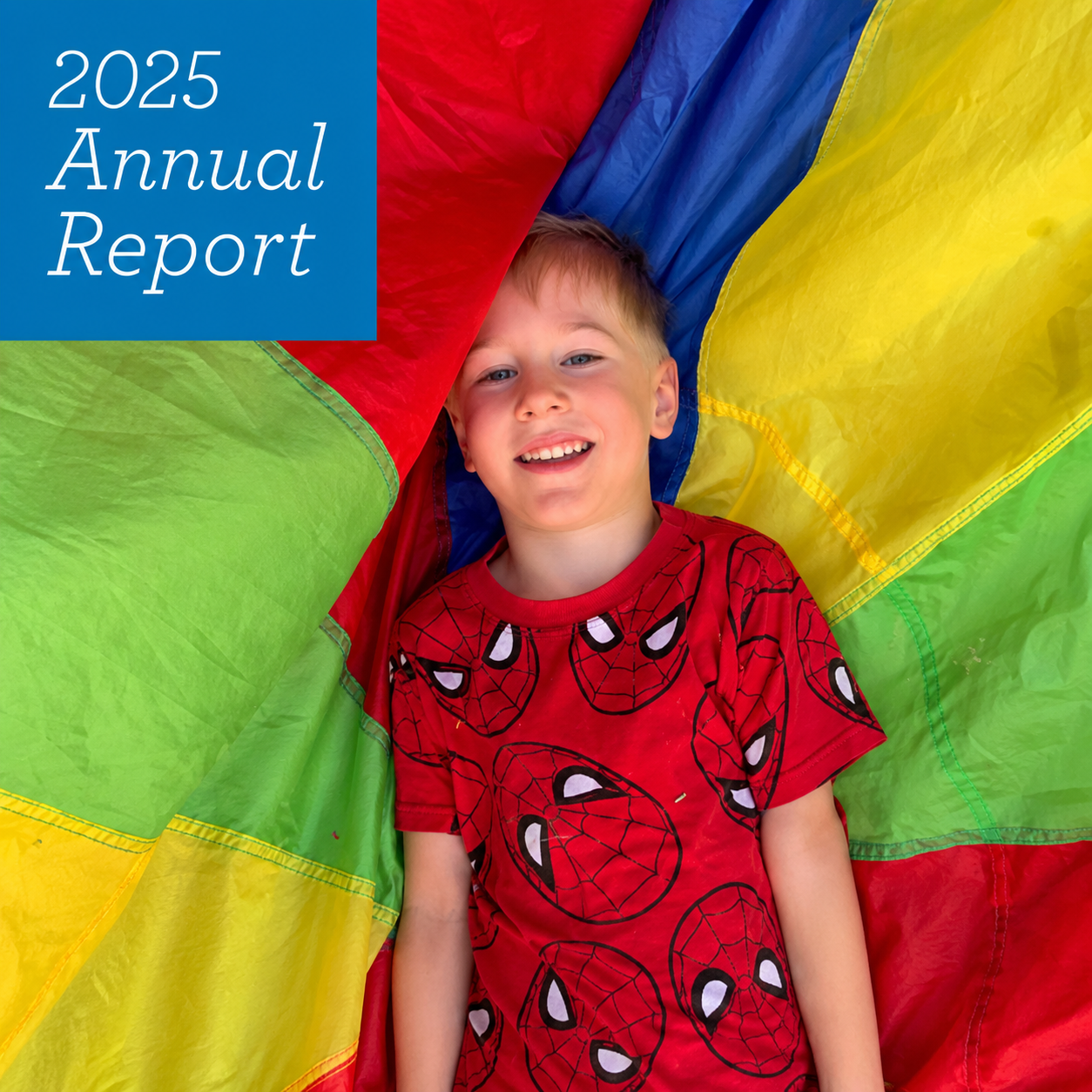 2025 annual report image